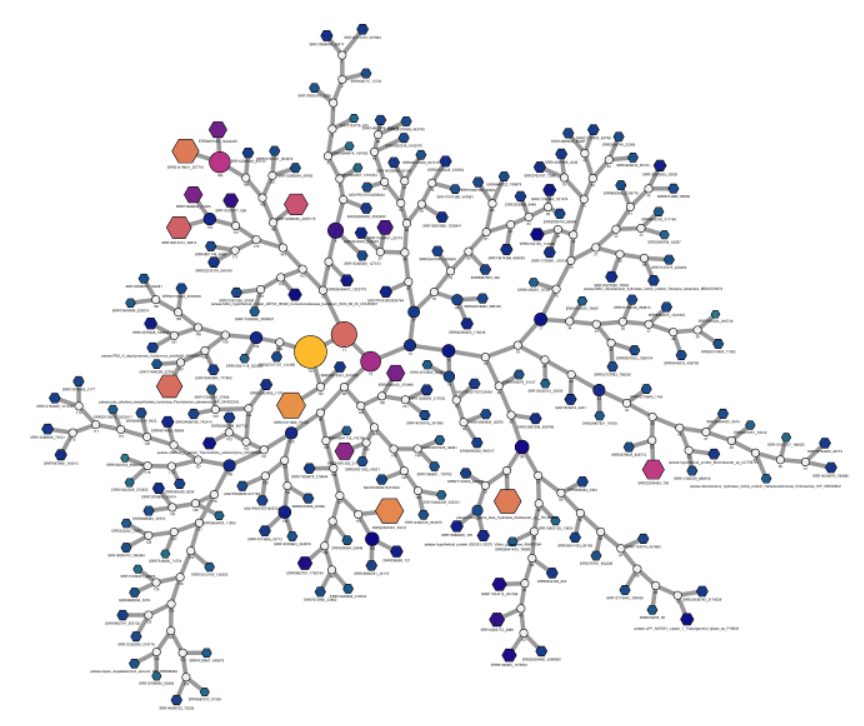 PETase Network Diagram